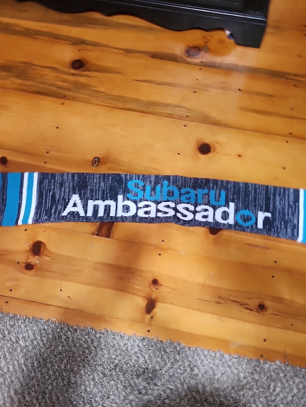Subaru Ambassador Knit Scarf in Blue and White
